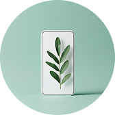 Mobile Optimized